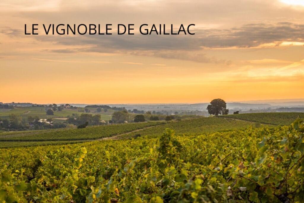 Jolie Maison - Calme - Jardin - Gaillac Buitenkant foto